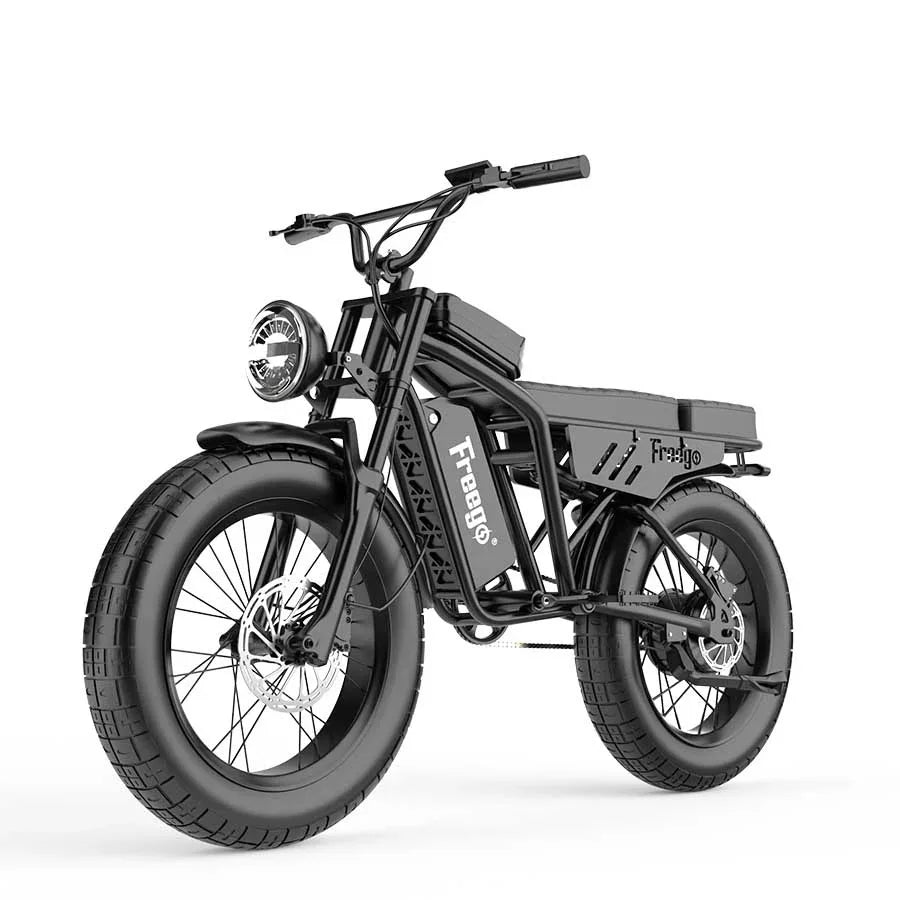 New FREEGO F0 Electric Bike for Adults 20 Inch Fat Tire Off Road E-bicycle 48V 10.4AH Battery Powerful Mountain Electric Bicycle