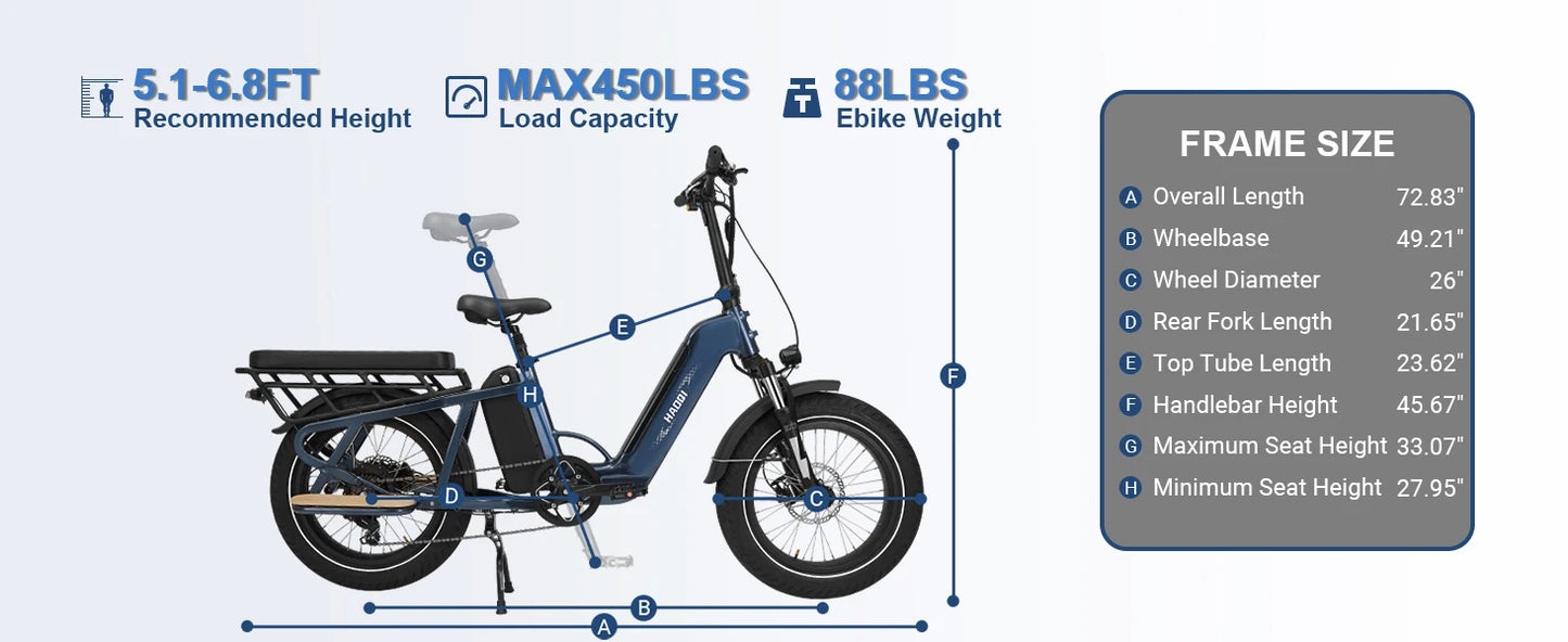 HAOQI Camel adult E-bike 750W 48V 27.8  commute Electric Bike,20 Fat Tire city ebike,electric bicycle