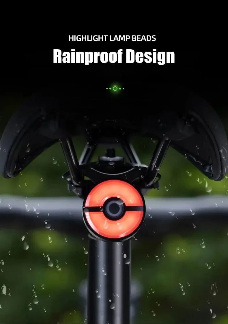 Brake Sensing Bike Taillights IPX6 Waterproof Bicycle Tail Lights Automatic Switch High Brightness Cycling Taillights TYPE-C