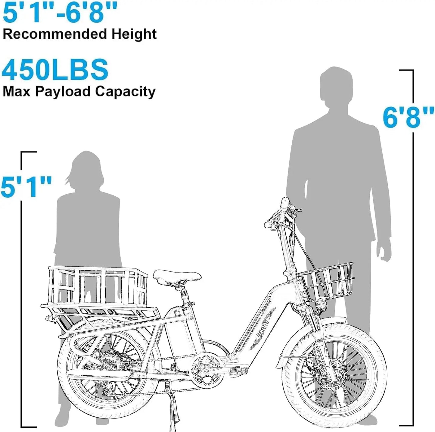 HAOQI Camel adult E-bike 750W 48V 27.8  commute Electric Bike,20 Fat Tire city ebike,electric bicycle