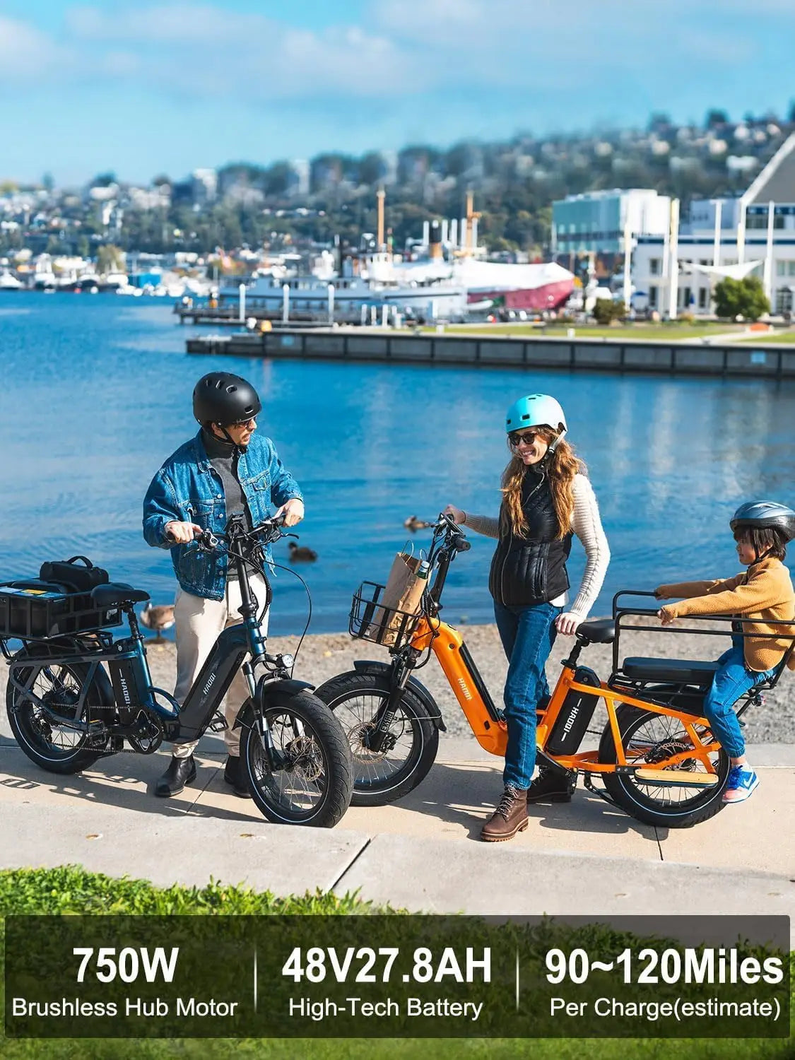 HAOQI Camel adult E-bike 750W 48V 27.8  commute Electric Bike,20 Fat Tire city ebike,electric bicycle