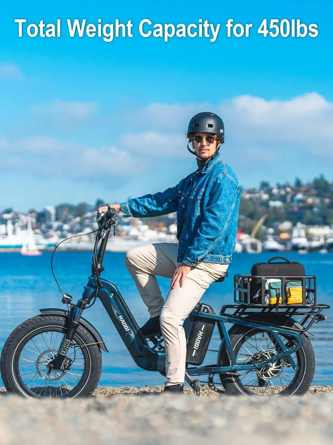 HAOQI Camel adult E-bike 750W 48V 27.8  commute Electric Bike,20 Fat Tire city ebike,electric bicycle