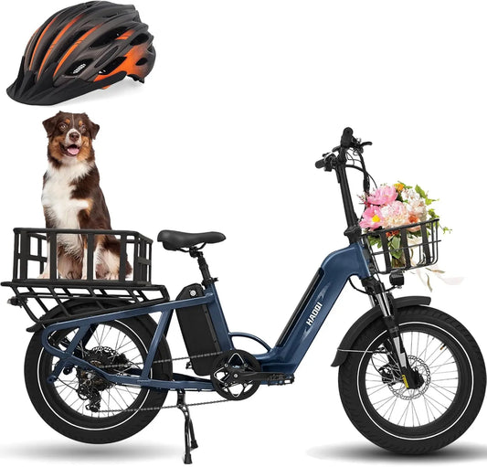HAOQI Camel adult E-bike 750W 48V 27.8  commute Electric Bike,20 Fat Tire city ebike,electric bicycle