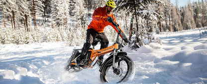 1000W Folding Electric Bike, 48V 20AH Large Removable Battery E Bike, 30+MPH, 80 Miles Max Range, 20" Fat Tire Electric Bike for