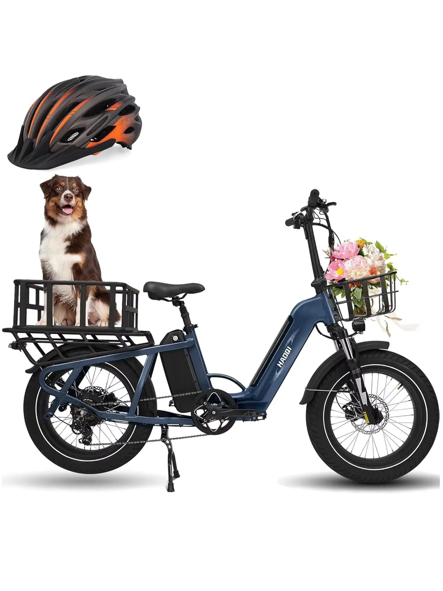 HAOQI Camel adult E-bike 750W 48V 27.8  commute Electric Bike,20 Fat Tire city ebike，electric bicycle