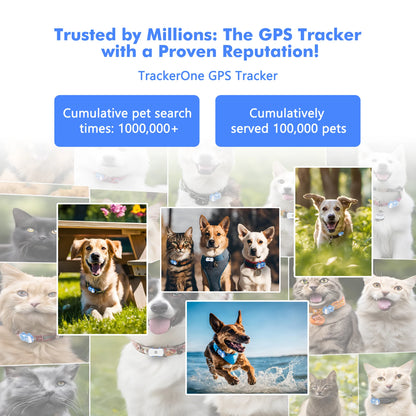 ‌4G Dog Cat GPS Tracker for Pets -