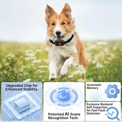 GPS Wireless Dog Fence. IPX7 Waterproof Dog Training Collar.